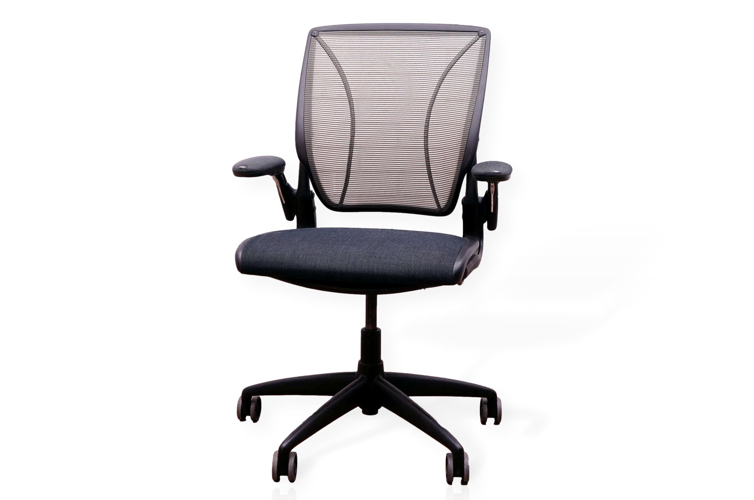 DSC07995 (1)_clipped_rev_1 Humanscale Diffrient World Task Chair on White Background