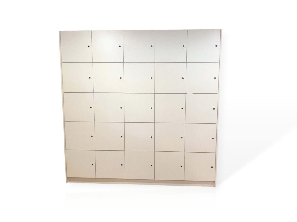 Chennai Bespoke Personal Locker Unit
