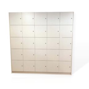 Chennai Bespoke Personal Locker Unit