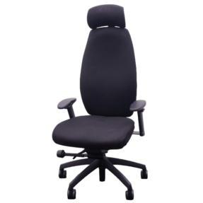 Posturite Positiv Plus High Back With Headrest