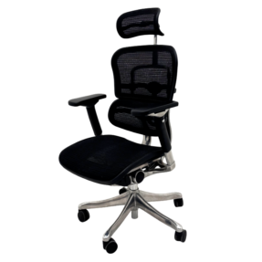 Ergohuman Plus Task Chair